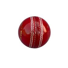 Pack of 9 - Cricket Kit For Professional (Hard Ball Bat Complete Set)